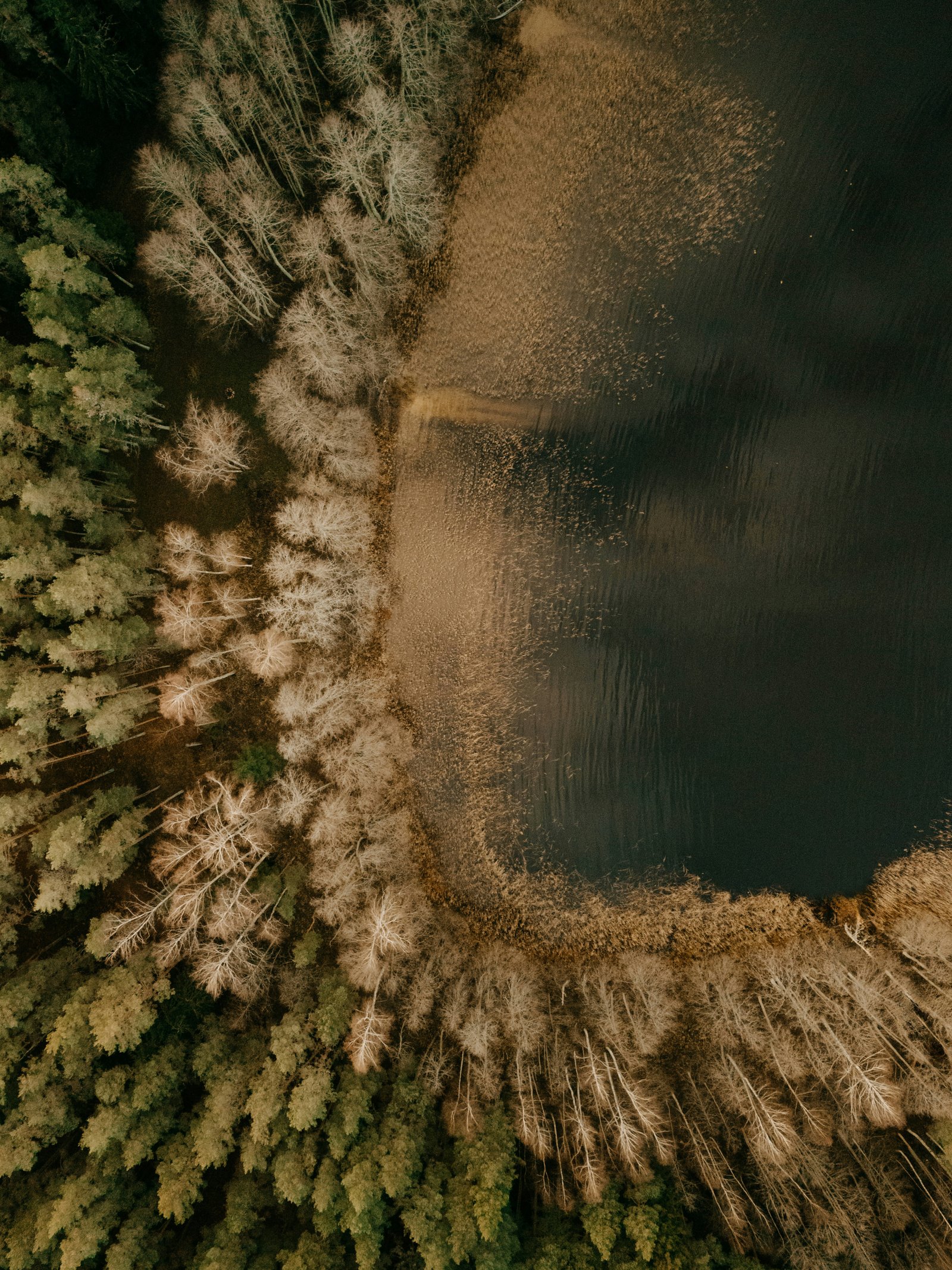 Discover Wild Africa